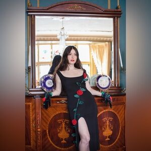 Samantha Pleet Climbing Rose Dress, Size Small